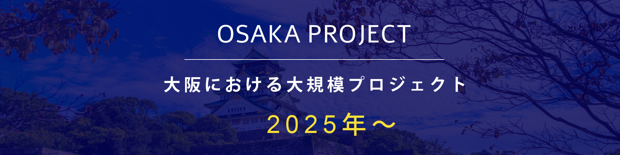 大阪における大規模プロジェクト